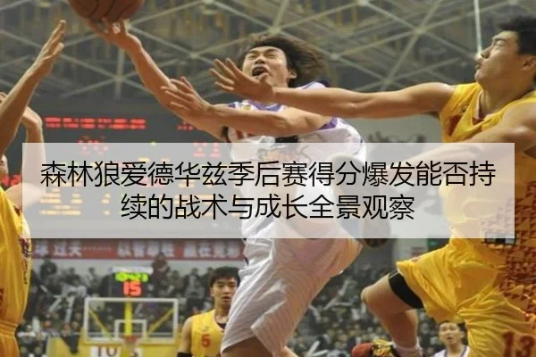 森林狼爱德华兹季后赛得分爆发能否持续的战术与成长全景观察